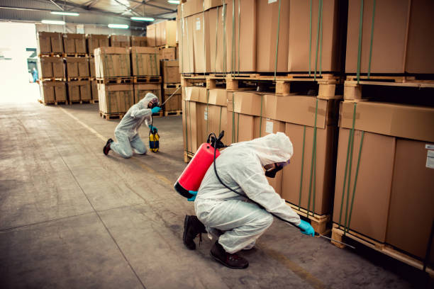 Best Pest Removal Services  in Pendleton, SC