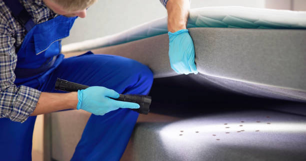 Best Pest Control for Businesses  in Pendleton, SC