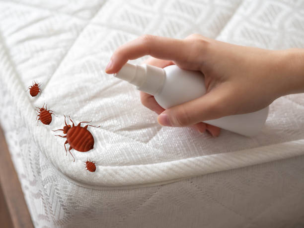 Best Pest Control Near Me  in Pendleton, SC