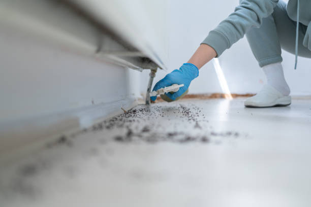 Best Emergency Pest Control  in Pendleton, SC