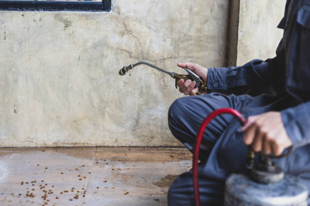 Best Wasp Removal Services  in Pendleton, SC